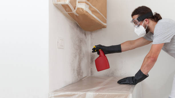 Professional Mold Removal technician working in Capron, IL