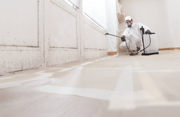 24/7 Emergency Mold Removal experts in Capron, IL